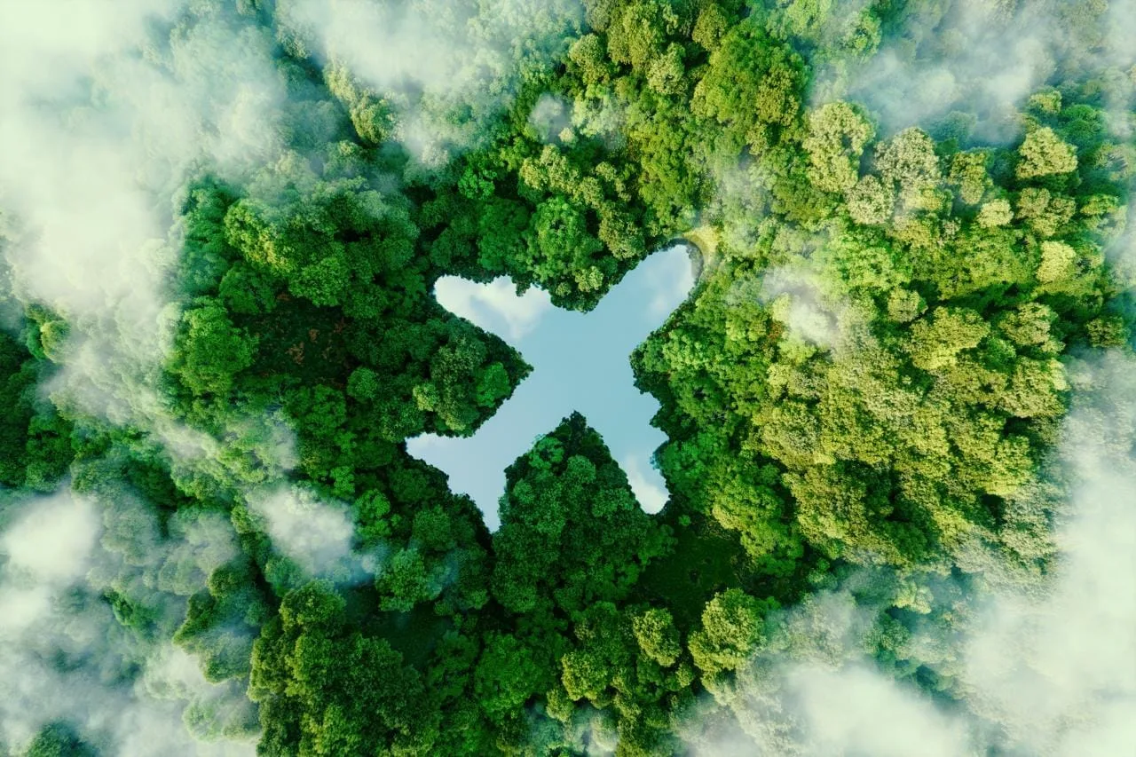 Carbon Tracking Platform case study